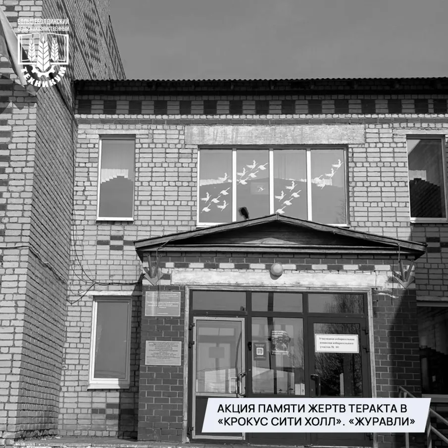 Всероссийская акция «Летят журавли»