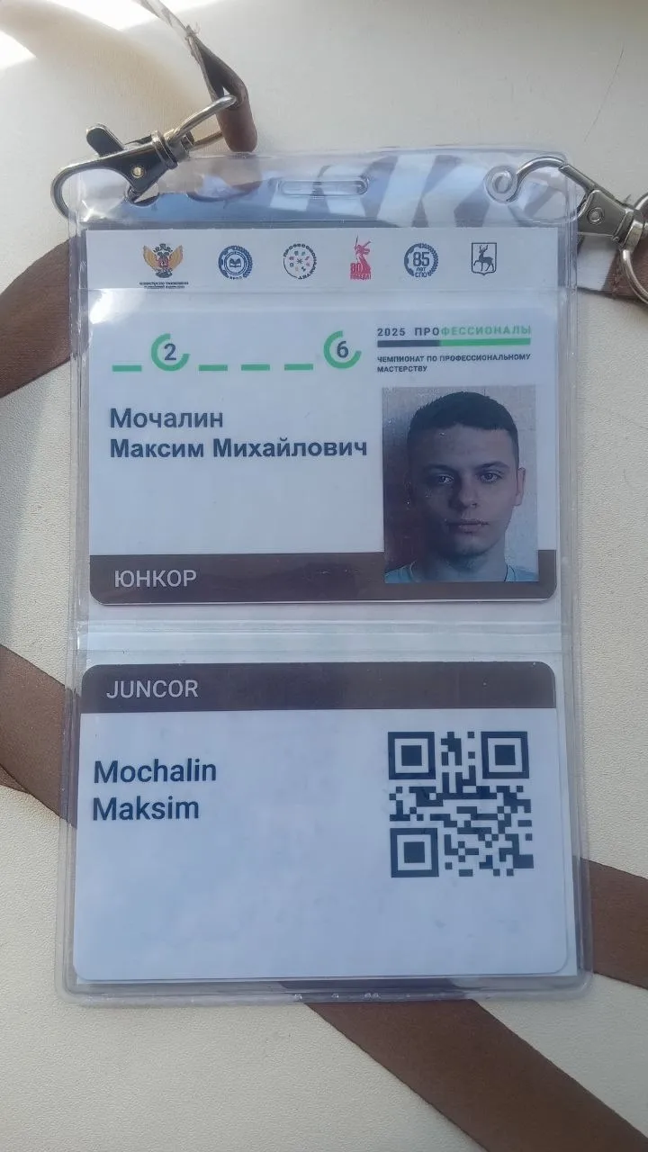 Торжественная  церемония открытия Финала чемпионата по профессиональному мастерству "Профессионалы"