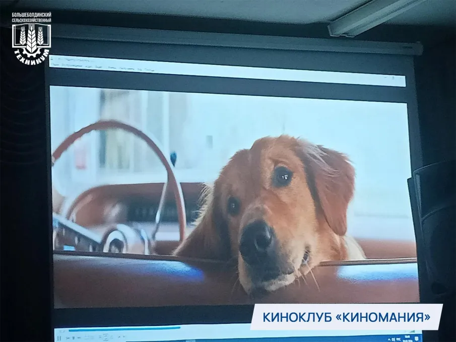 Показ фильмов в киноклубе «КиНоМаНиЯ»