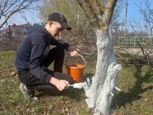 Всероссийский субботник
